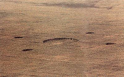cheesefoot83s.jpg (38778 bytes)