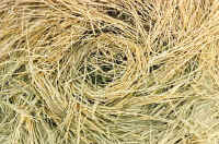 Upper Farm, Hampshire crop circle, aerial photo 2