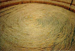 The crew of the American plane crop circle, aerial photo 2