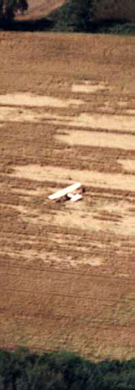 Longwood_Plane.jpg (32534 bytes)