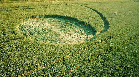 Longwood Warren, Hampshire crop circle, aerial photo 2