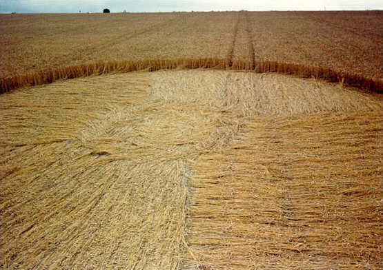 Winterbourne Stoke, Wiltshire crop circle, aerial photo 5