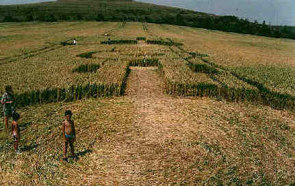 Alton Barnes, Wiltshire crop circle, aerial photo 3