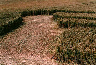 Alton Barnes, Wiltshire crop circle, aerial photo 7