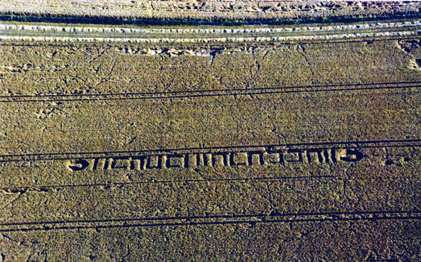 Milk Hill, Wiltshire crop circle, aerial photo 2