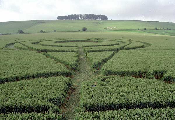 Several people crop circle, aerial photo 7