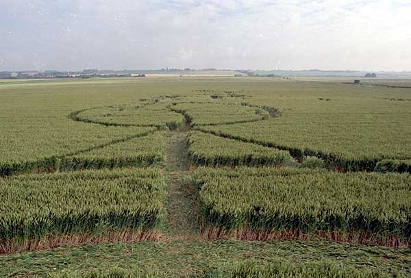 Several people crop circle, aerial photo 11
