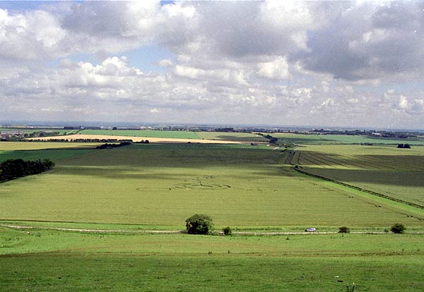 Several people crop circle, aerial photo 5