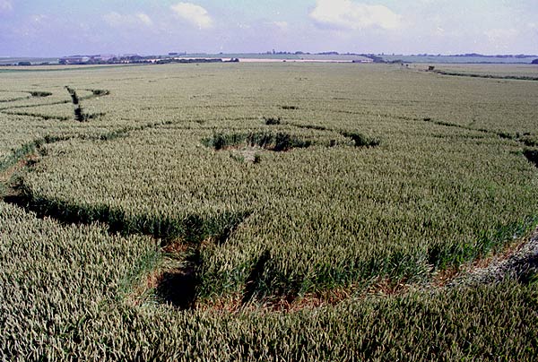 Several people crop circle, aerial photo 13