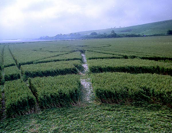 Several people crop circle, aerial photo 9