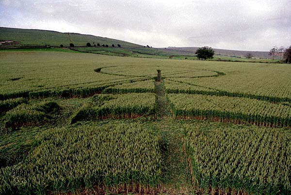 Several people crop circle, aerial photo 15