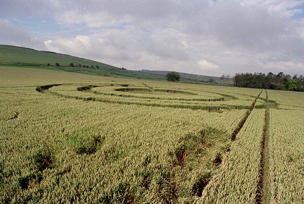 Several people crop circle, aerial photo 14
