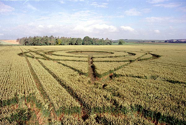 Several people crop circle, aerial photo 6