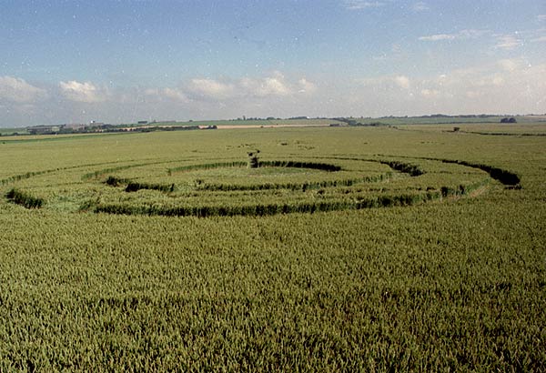 Several people crop circle, aerial photo 10