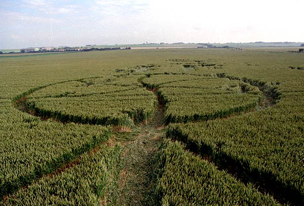 Several people crop circle, aerial photo 12
