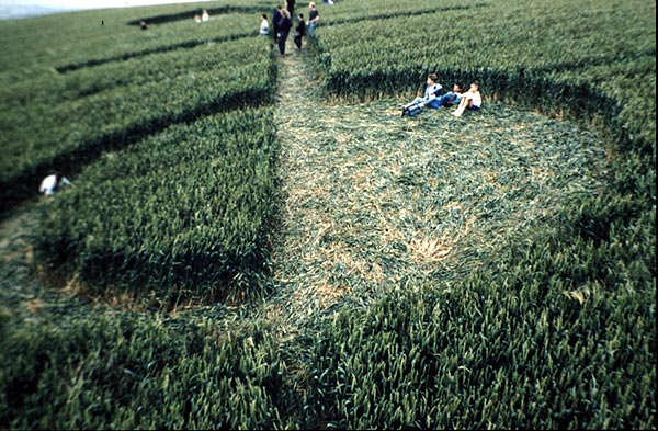 Dundry Hill, Avon crop circle, aerial photo 2