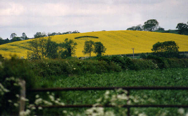 husbandsbosworth91.jpg (32129 bytes)