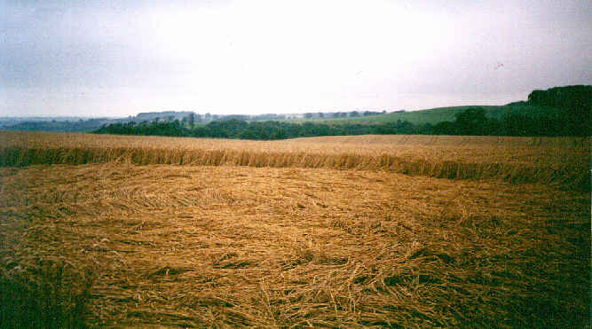 coldashton92b.jpg (38363 bytes)