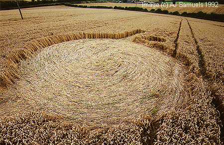 froxfield92b.jpg (43594 bytes)