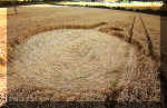 froxfield92b.jpg (43594 bytes)