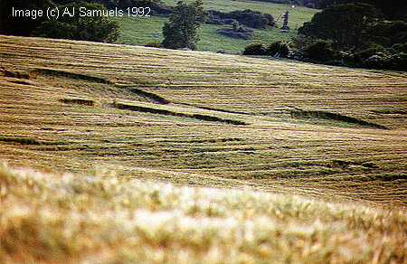 hartcliffe92.jpg (29694 bytes)