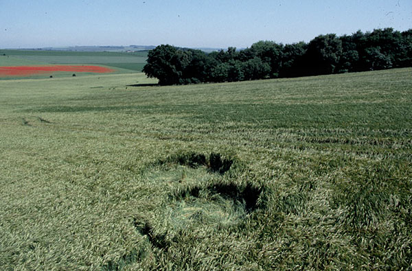 Westwoods, Wiltshire crop circle, aerial photo 2
