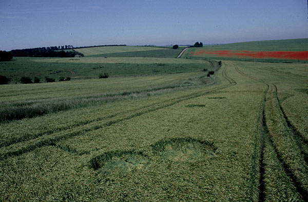 Westwoods, Wiltshire crop circle, aerial photo 4