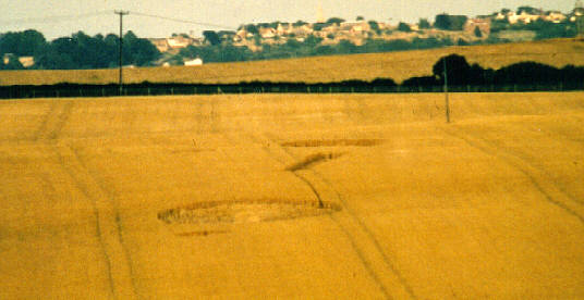 duckmanton1993.jpg (28810 bytes)
