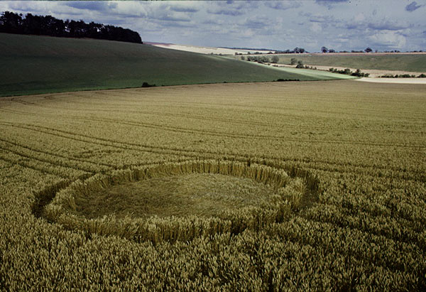 Maizeyfarm, Wiltshire crop circle, aerial photo 4