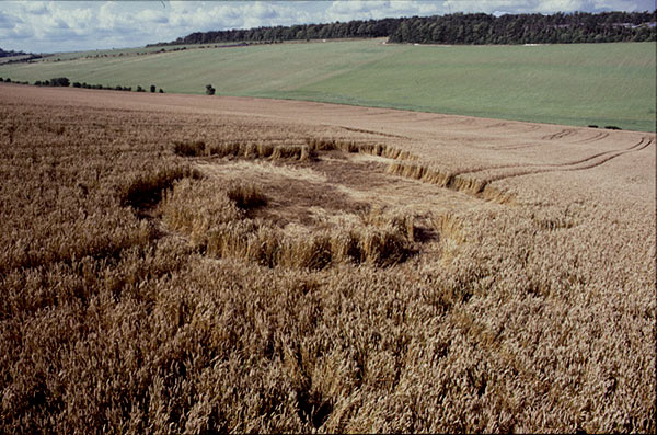Maizeyfarm, Wiltshire crop circle, aerial photo 2