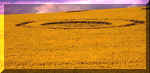 aveburydown94a.jpg (37397 bytes)