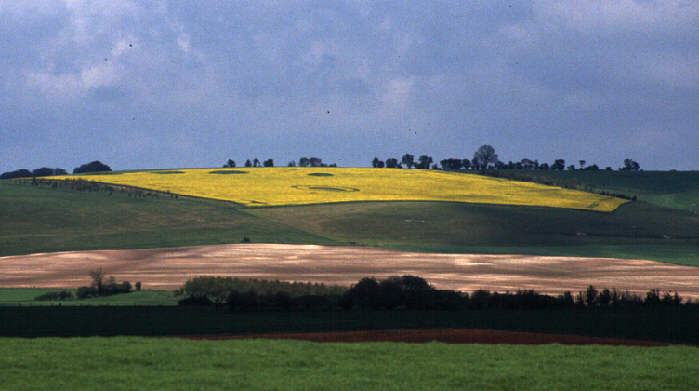 Monkton Down, Wiltshire crop circle, aerial photo 2