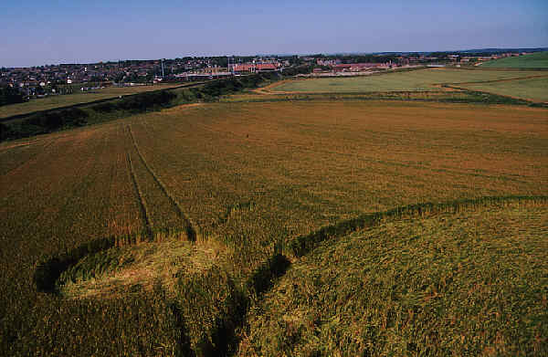 charminster94b.jpg (34879 bytes)