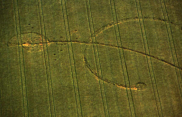 cherhillaerial94.jpg (37337 bytes)
