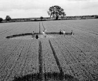 Copmanthorpe, Yorkshire crop circle, aerial photo 2