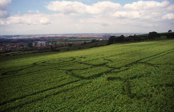 UFO reports where crop circle, aerial photo 2