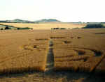 hazeleydown94c..jpg (24158 bytes)