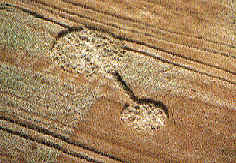 Head, Hampshire and discovered/ crop circle, aerial photo 2