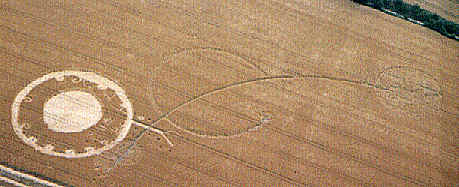Head, Hampshire and discovered/ crop circle, aerial photo 4