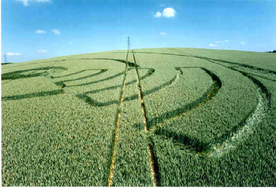 Zig-Zag, Hampshire crop circle, aerial photo 3