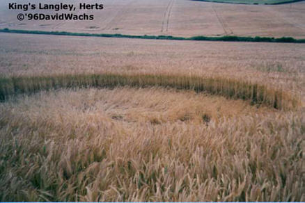 Kings Langley, Hertfordshire crop circle, aerial photo 3