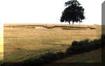 West Tisted, Hampshire crop circle, aerial photo 3