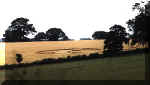 West Tisted, Hampshire crop circle, aerial photo 2