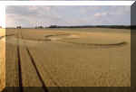 Ashbury, Oxfordshire crop circle, aerial photo 3
