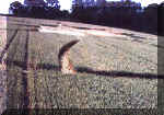 Blaby, Leicestershire crop circle, aerial photo 2