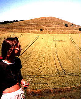 Cley Hill, Wiltshire crop circle, aerial photo 6