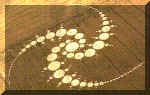 Windmill Hill, Wiltshire crop circle, aerial photo 3
