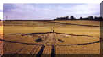 Kingsclere, Hampshire crop circle, aerial photo 2