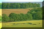 Kingsclere, Hampshire crop circle, aerial photo 3