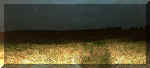 Girton, Cambridgeshire crop circle, aerial photo 2